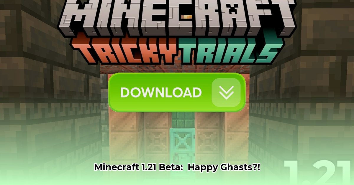 minecraft-download-beta-1-21